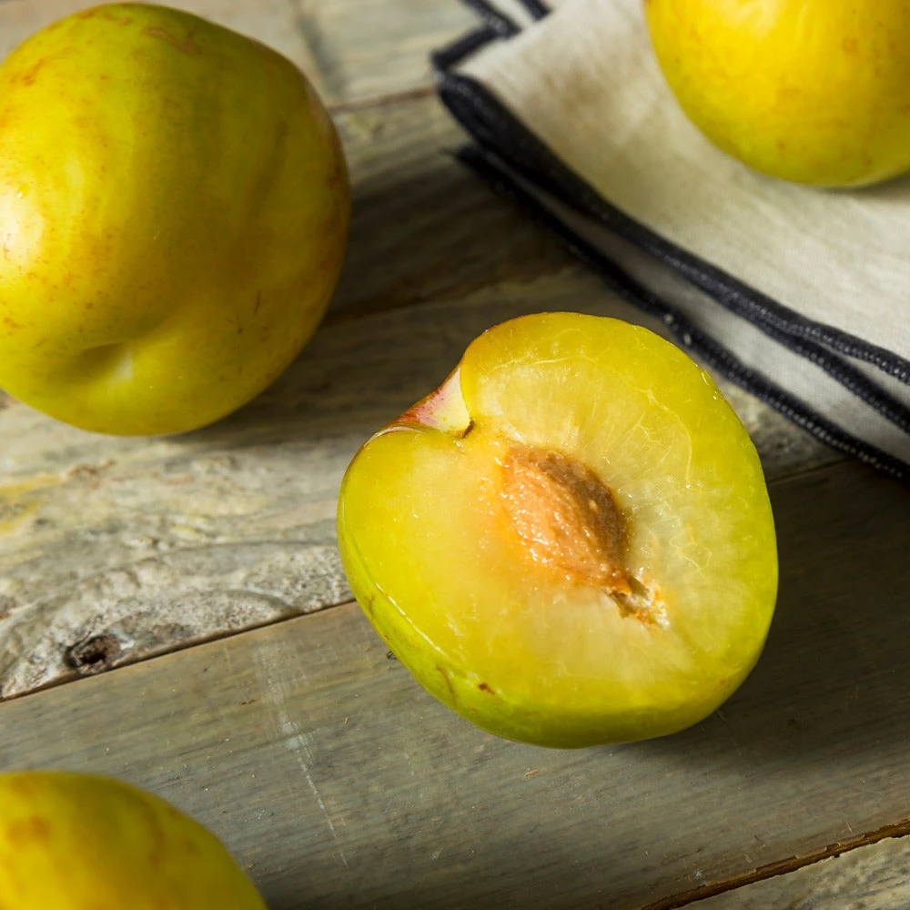 Flavor Queen Pluot® - Image 3