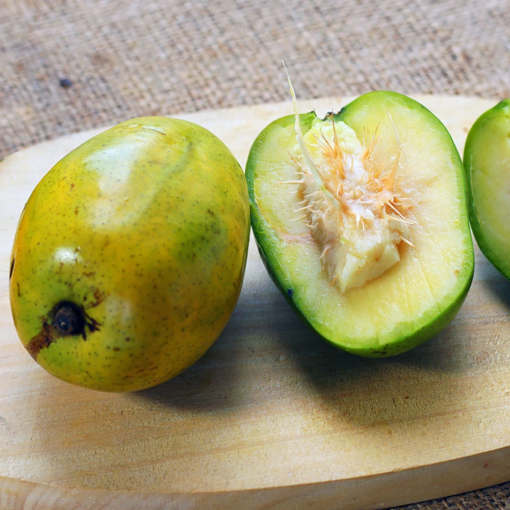 June Plum Tree - Image 3