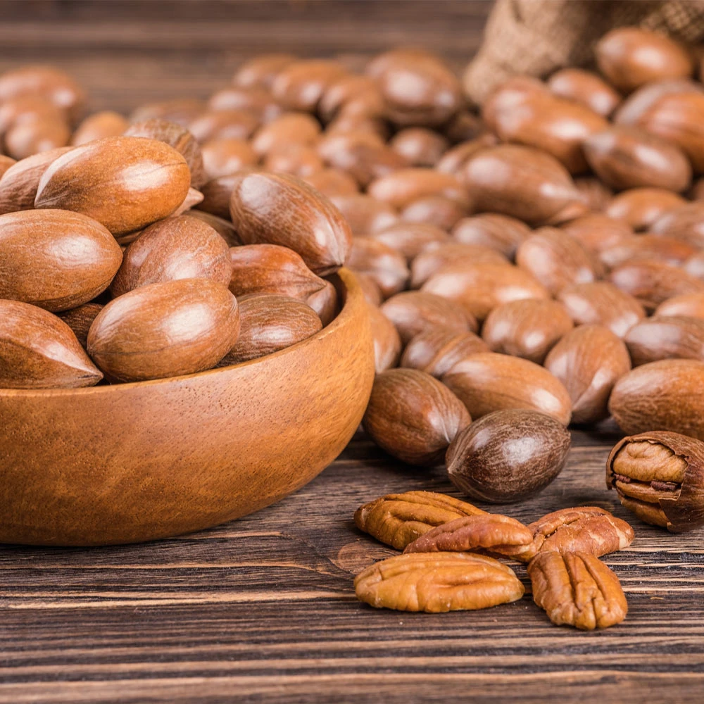 Pawnee Pecan Tree - Image 4