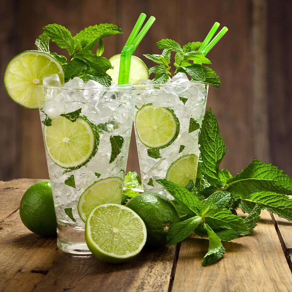 Persian 'Bearss' Lime Tree - USDA Organic - Image 5