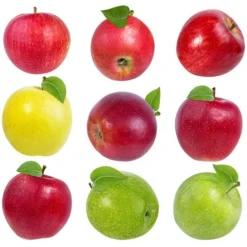 5-in-1 Apple Surprise Tree